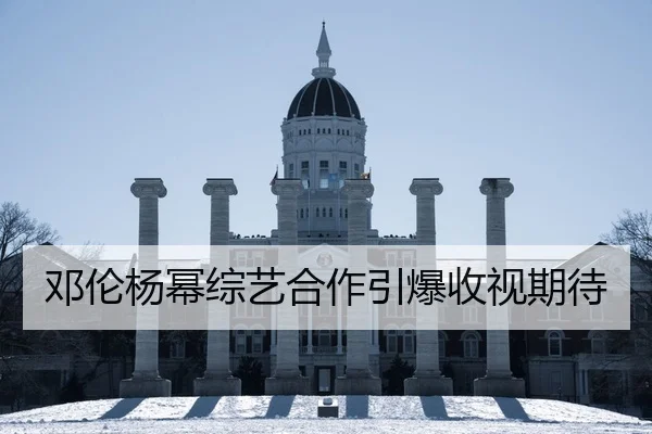 deng-lun-yang-mi-zong-yi-he-zuo-yin-bao-shou-shi-qi-dai-2-495.jpg